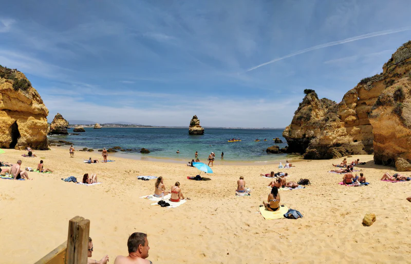 Professional Beginner